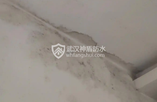 武汉雨季来了，房顶发现漏水怎么维修，大概多少钱？