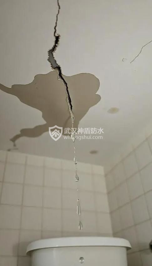 卫生间厨房下水管周围漏水防水维修方案及措施