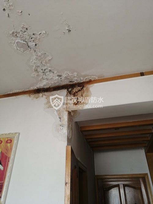 国内建筑防水行业现状：为何漏水频发？