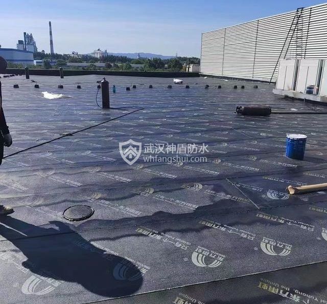 屋顶防水怎么选？SBS卷材和防水涂料大比拼