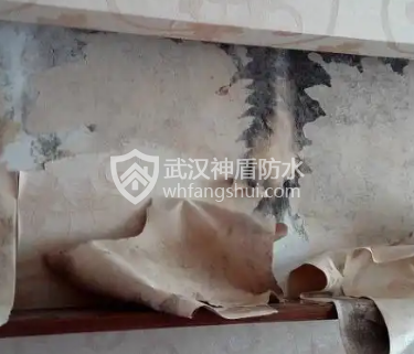 外墙为何频频漏水？补漏材料怎么选？